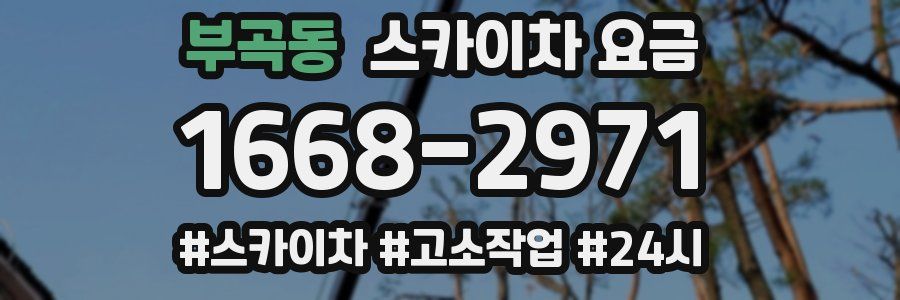 부곡동 스카이차 요금