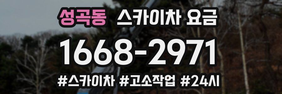 성곡동 스카이차 요금