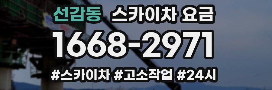 선감동 스카이차 요금