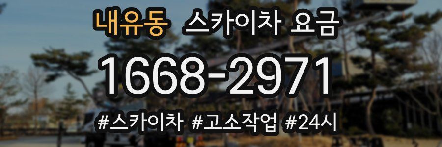 내유동 스카이차 요금