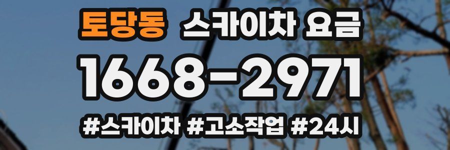 토당동 스카이차 요금