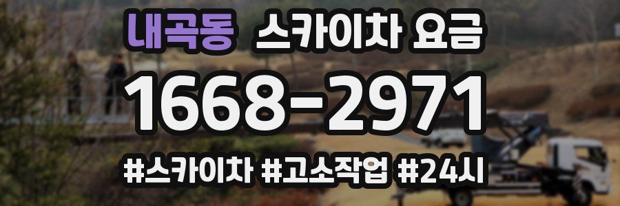 내곡동 스카이차 요금
