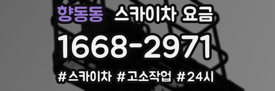 향동동 스카이차 요금