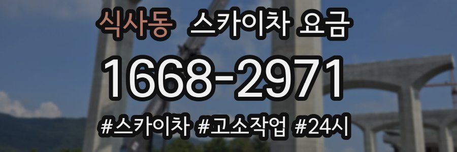 식사동 스카이차 요금