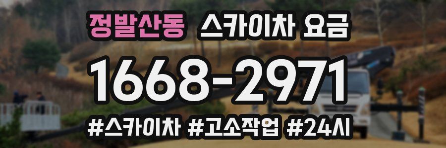 정발산동 스카이차 요금