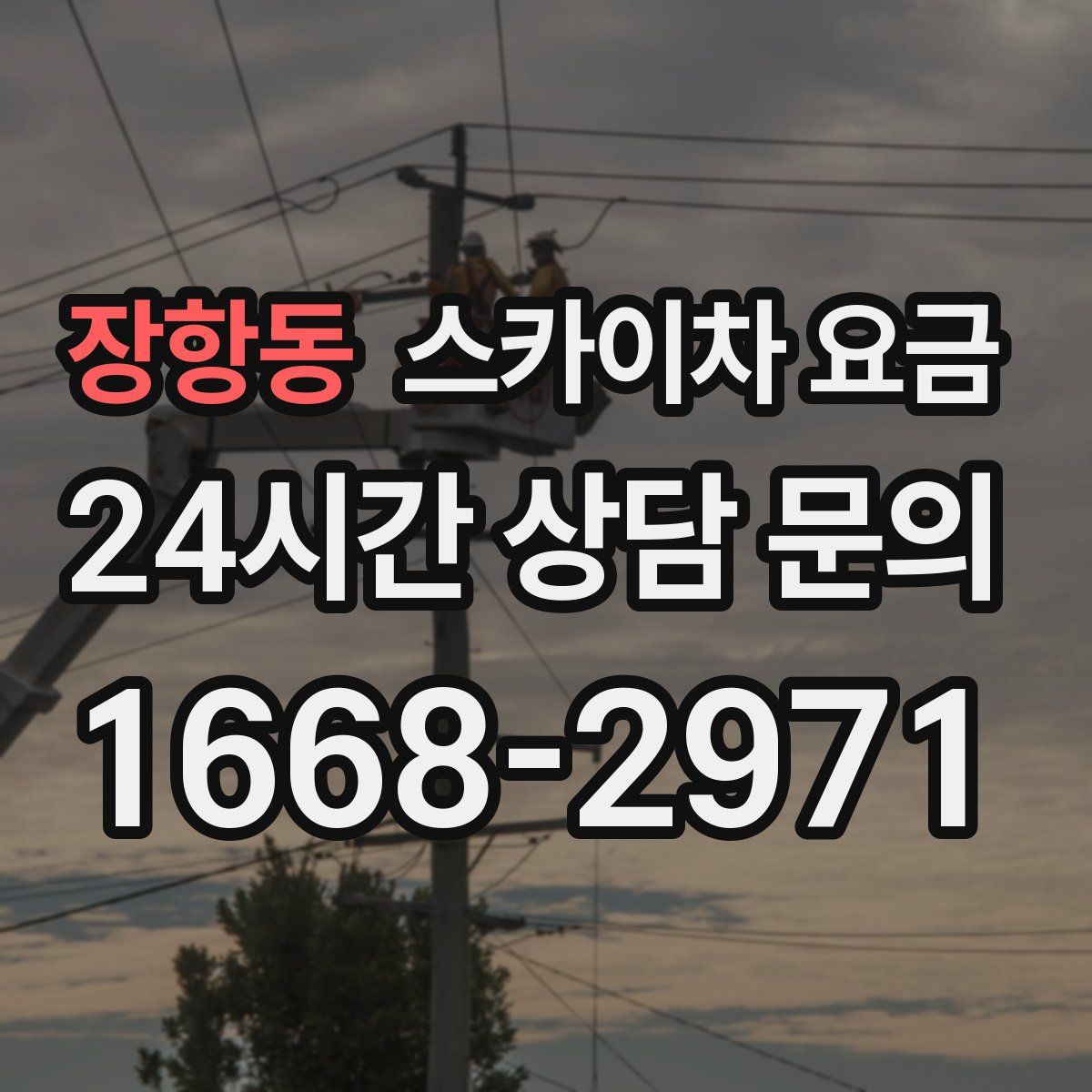 장항동 스카이차 요금