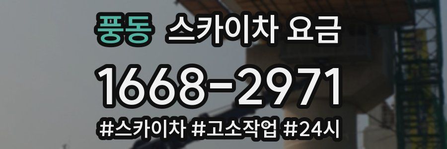풍동 스카이차 요금