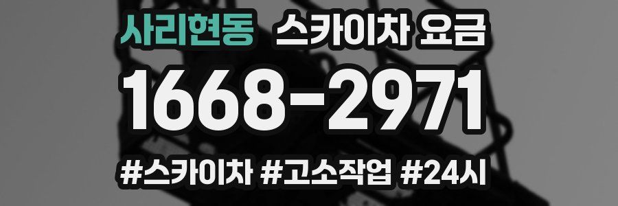 사리현동 스카이차 요금
