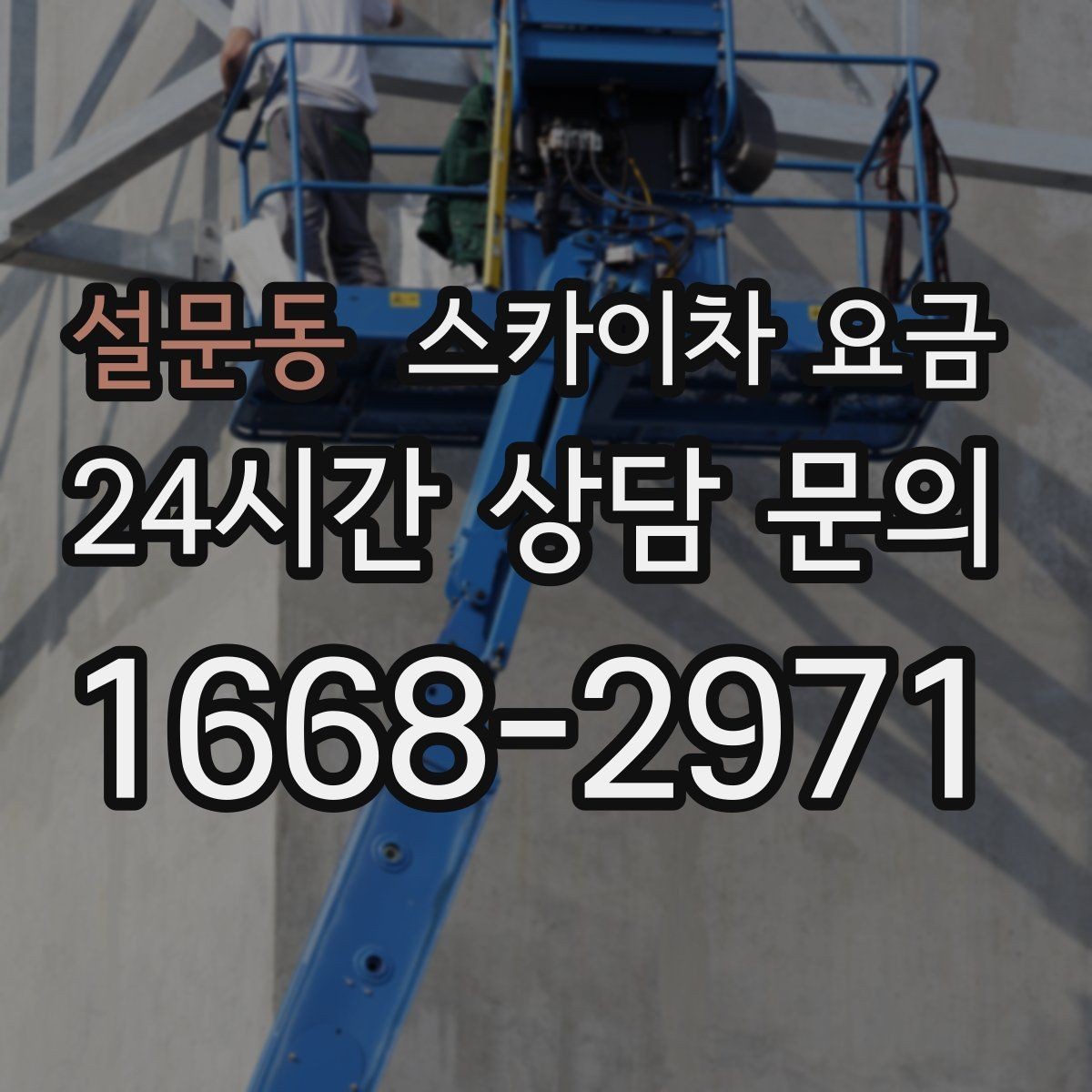설문동 스카이차 요금 나무 전지 작업은 가지 위치가 변수가 됩니다