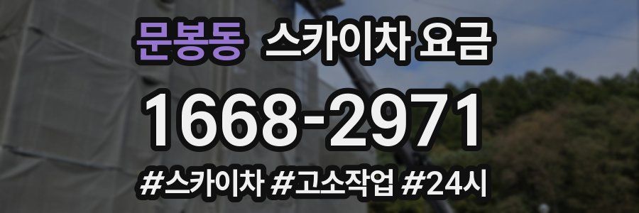 문봉동 스카이차 요금