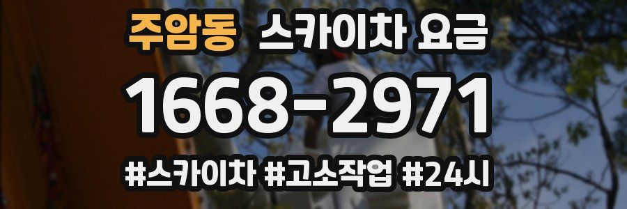 주암동 스카이차 요금