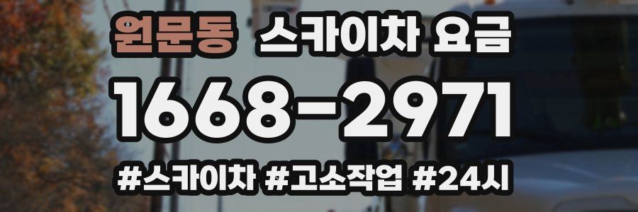 원문동 스카이차 요금