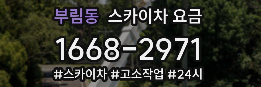 부림동 스카이차 요금