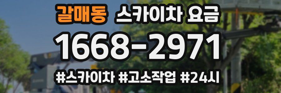 갈매동 스카이차 요금