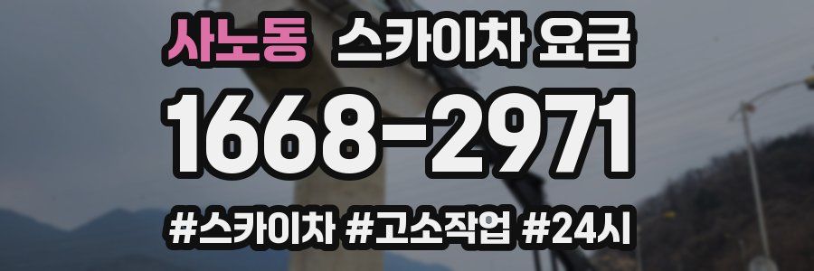 사노동 스카이차 요금