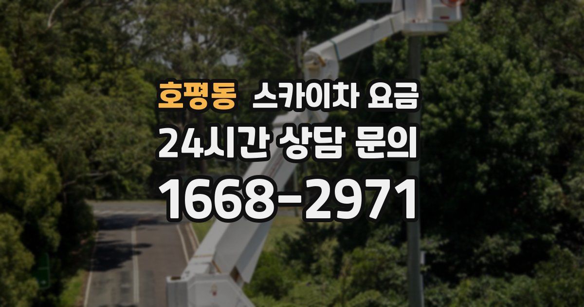 호평동 스카이차 요금
