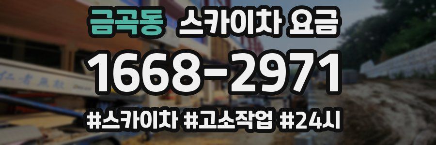 금곡동 스카이차 요금