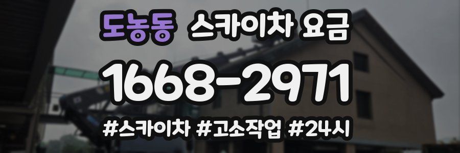 도농동 스카이차 요금