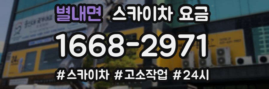 별내면 스카이차 요금