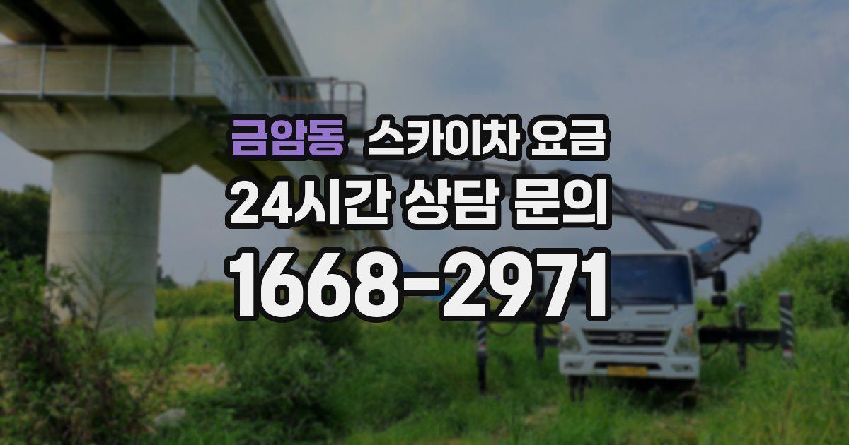 금암동 스카이차 요금