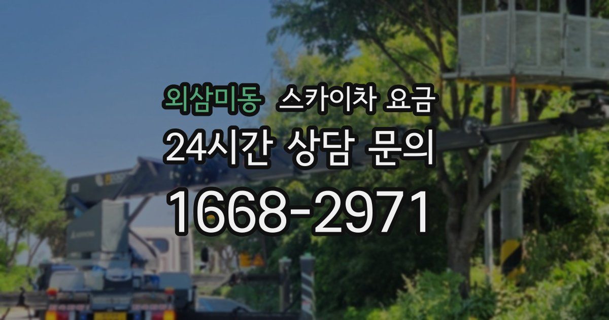 외삼미동 스카이차 요금