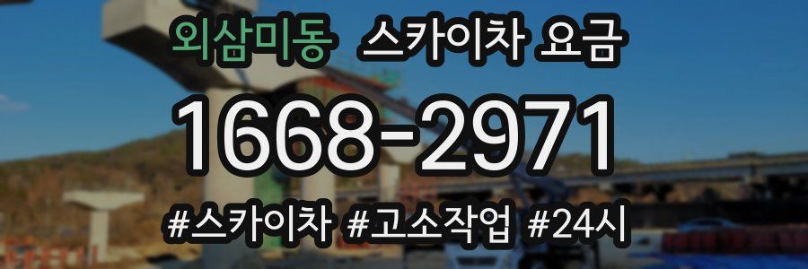 외삼미동 스카이차 요금
