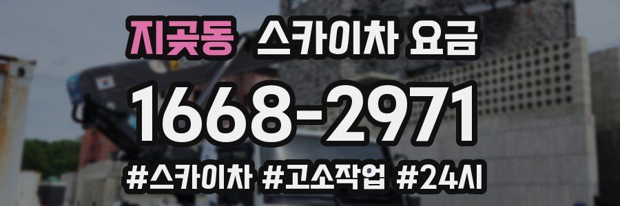 지곶동 스카이차 요금