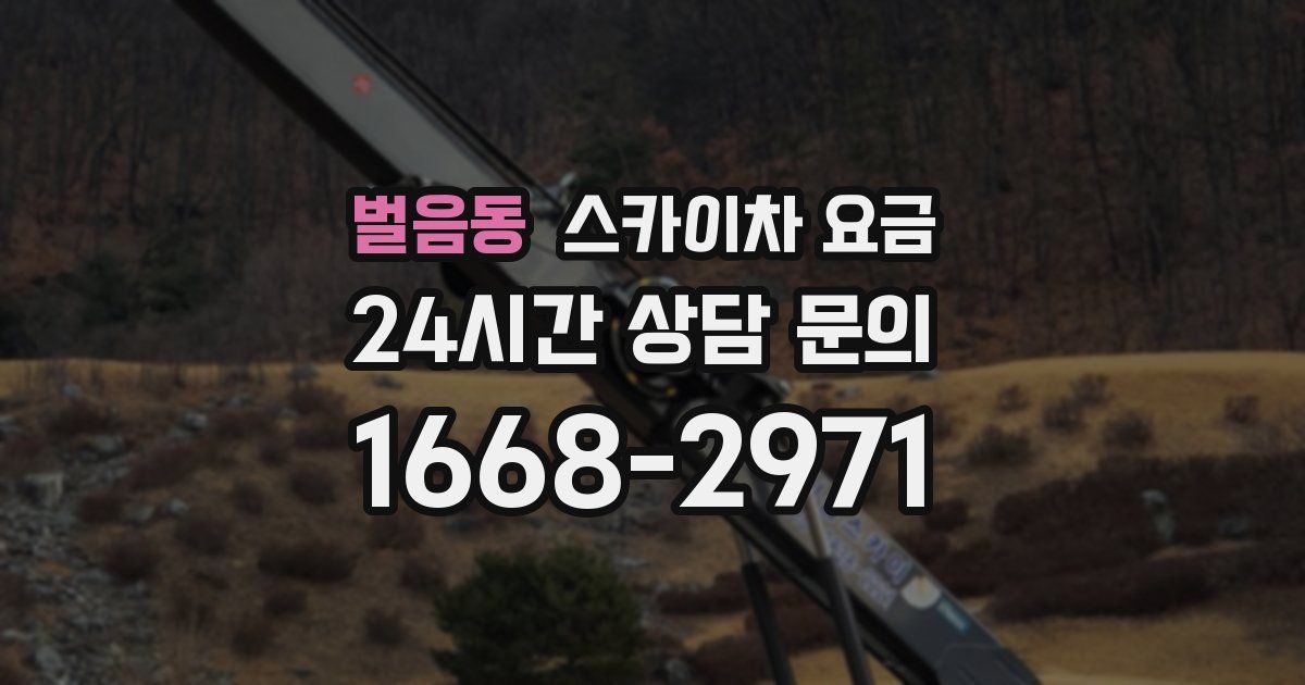 벌음동 스카이차 요금