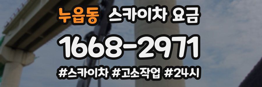 누읍동 스카이차 요금