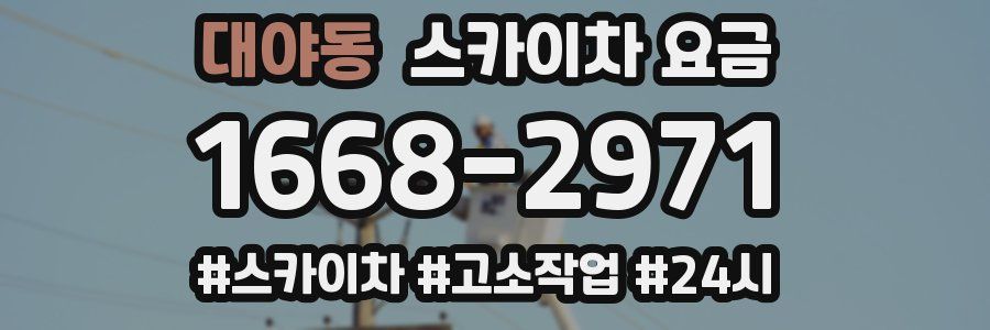 대야동 스카이차 요금