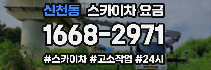 신천동 스카이차 요금