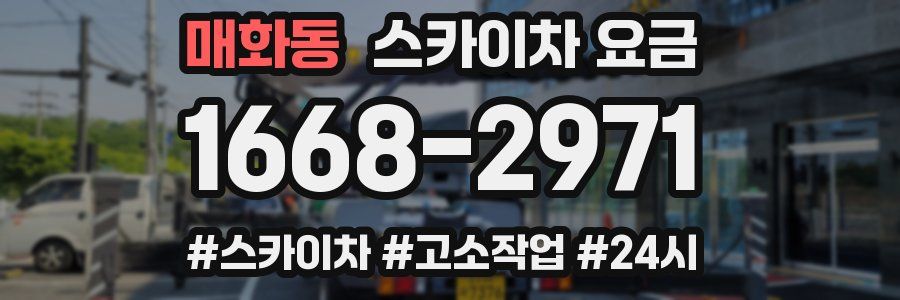 매화동 스카이차 요금