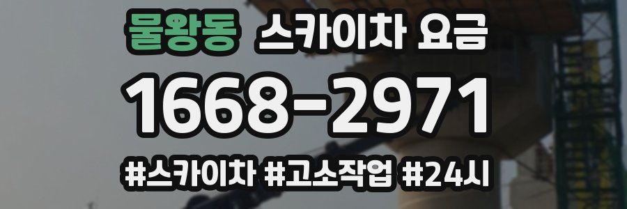 물왕동 스카이차 요금