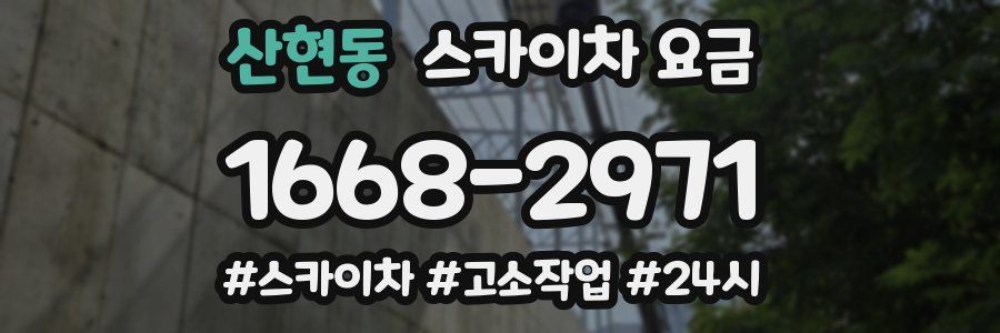 산현동 스카이차 요금