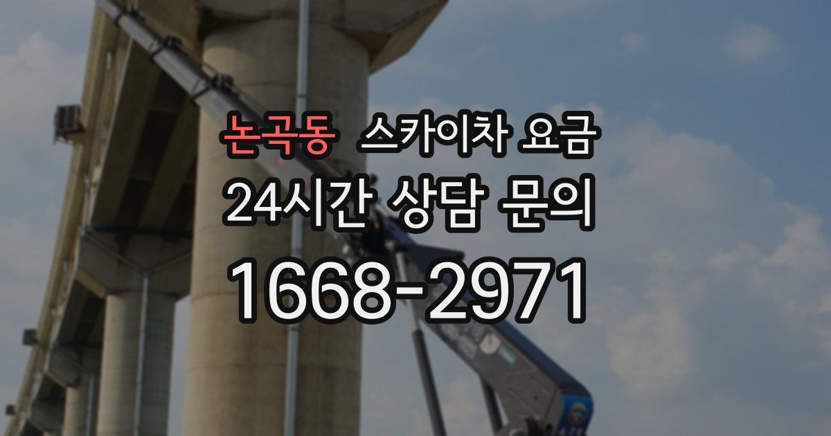 논곡동 스카이차 요금