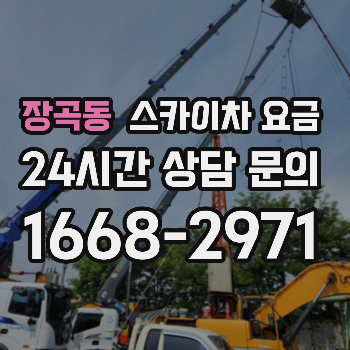 장곡동 스카이차 요금