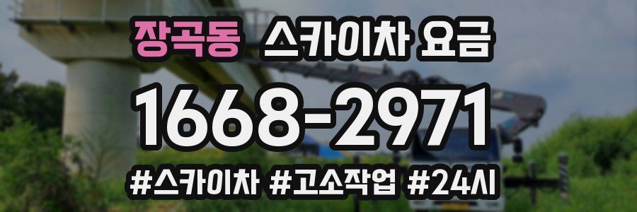 장곡동 스카이차 요금