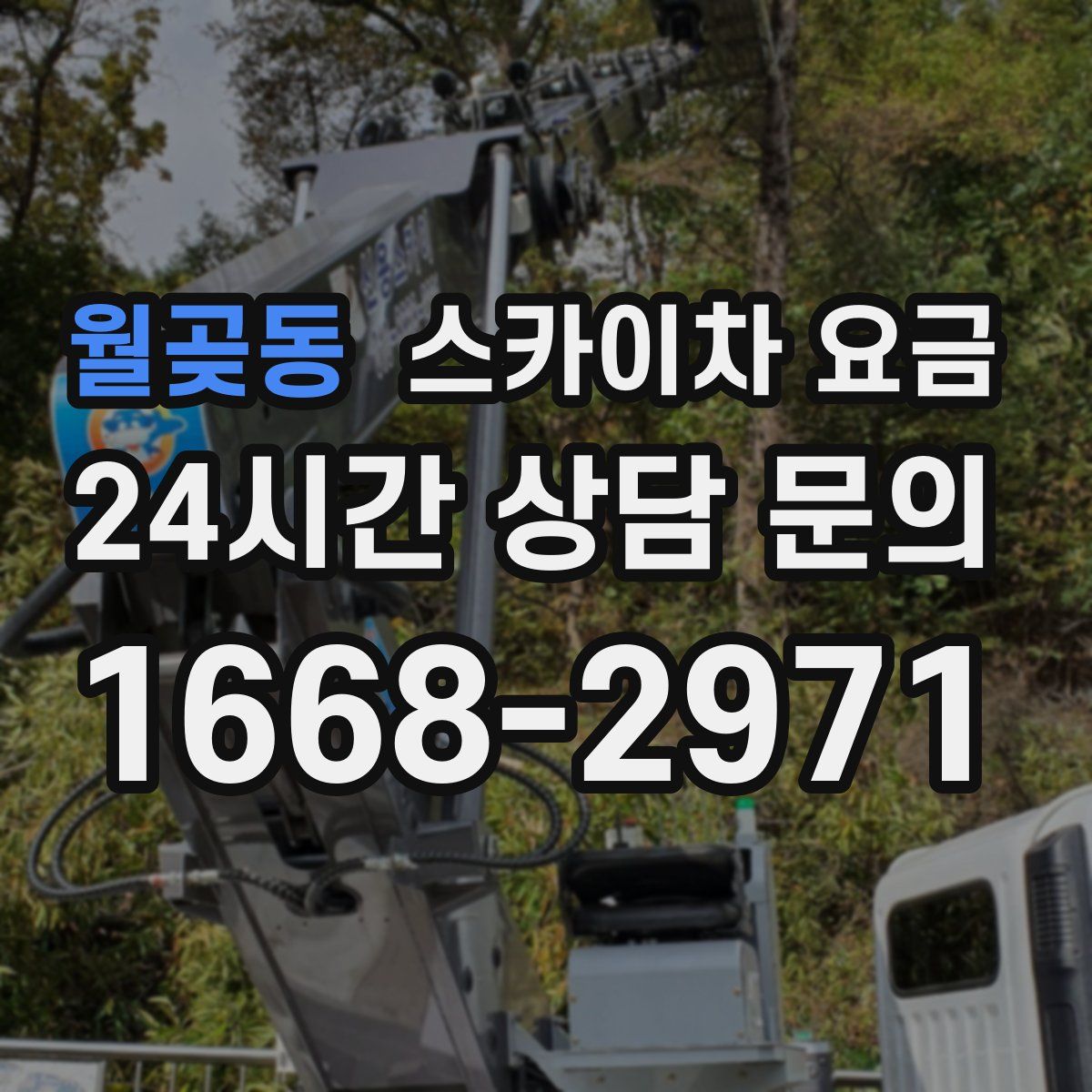 월곶동 스카이차 요금