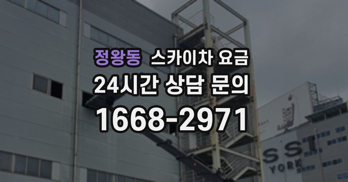 정왕동 스카이차 요금