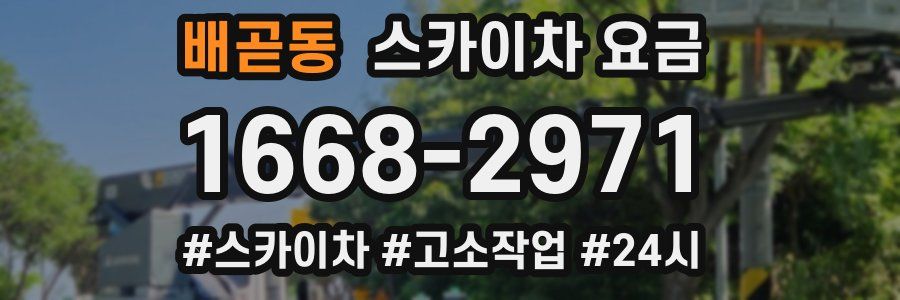 배곧동 스카이차 요금