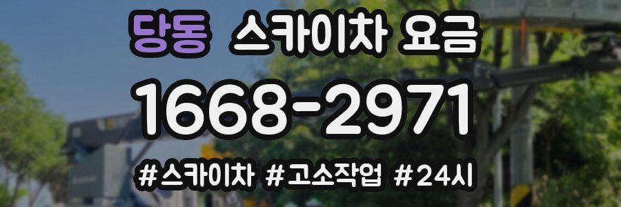 당동 스카이차 요금