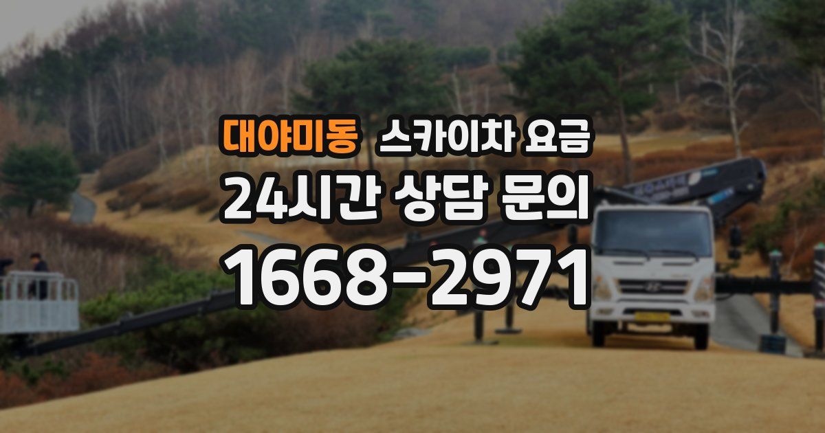 대야미동 스카이차 요금