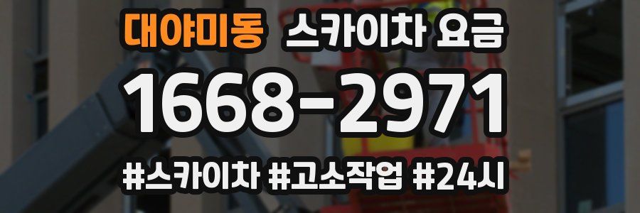 대야미동 스카이차 요금