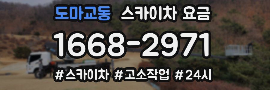 도마교동 스카이차 요금