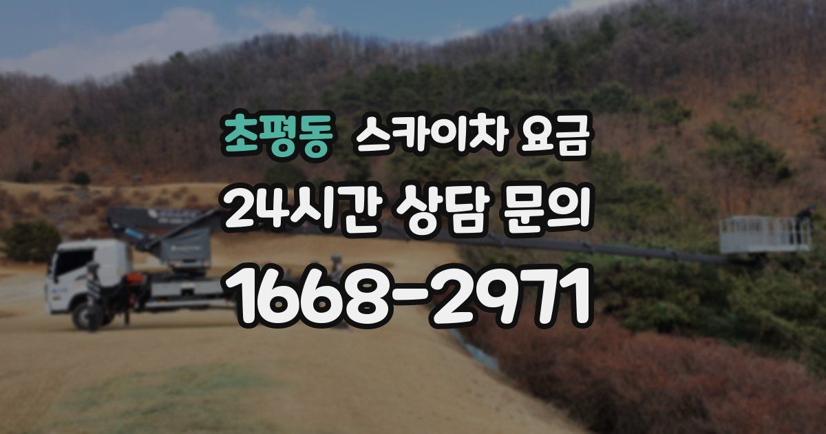 초평동 스카이차 요금
