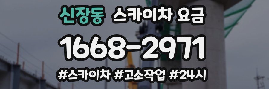 신장동 스카이차 요금