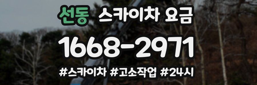 선동 스카이차 요금
