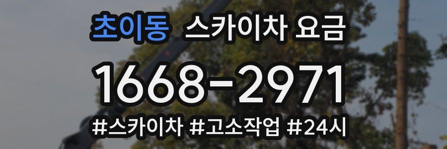 초이동 스카이차 요금