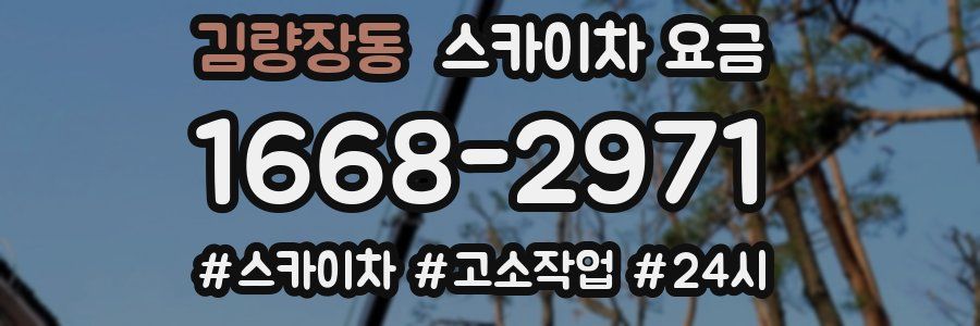 김량장동 스카이차 요금