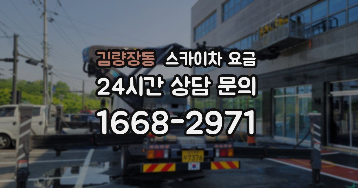 김량장동 스카이차 요금